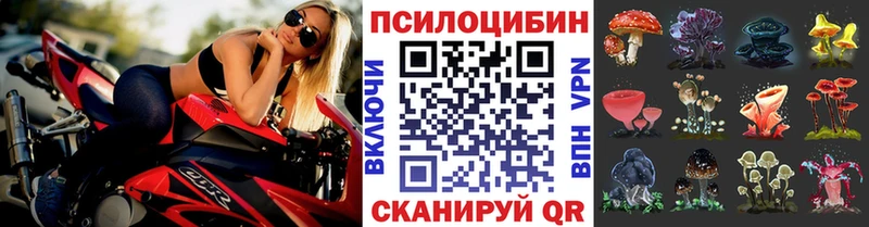 Псилоцибиновые грибы Cubensis  Курильск 